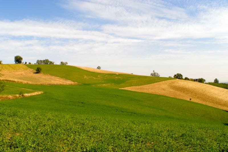 agriturismi piacentini