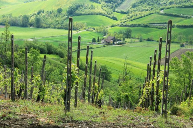 agriturismi piacentini