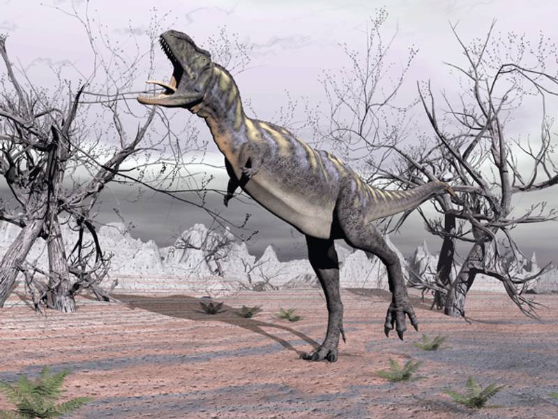 Brachiosauro: caratteristiche e curiosità