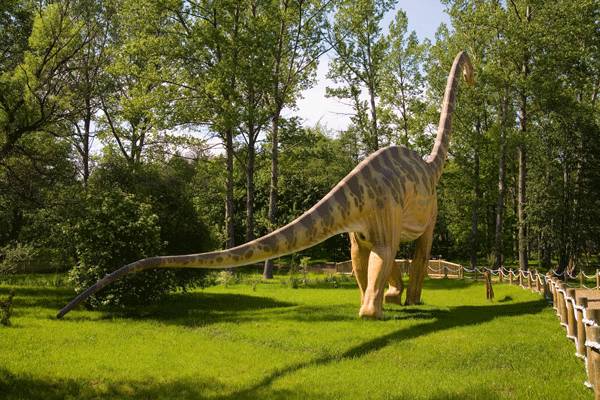 Brachiosauro: caratteristiche e curiosità