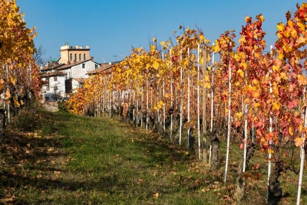 cantine Monferrato