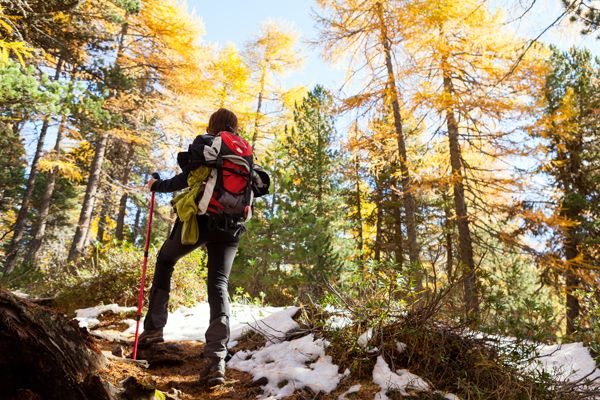 dove è nato il nordic walking