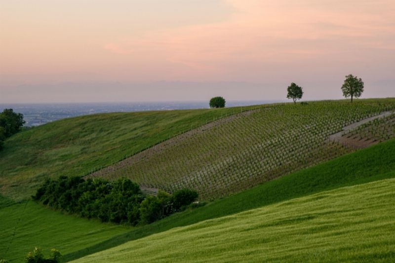 dove mangiare sulle colline piacentine