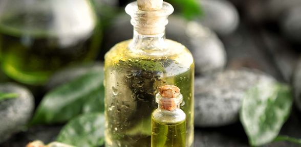 Tea Tree Oil per uso interno: a cosa serve
