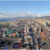 Camallo: scaricatore di porto genovese