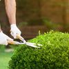 Come diventare giardiniere professionista