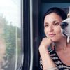 Come fare il passaporto al cane