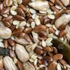 Quali semi fanno bene alla salute?