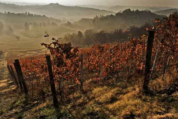 visitare le langhe1